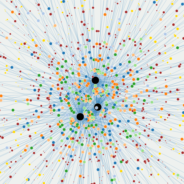Credit Network Visualization
